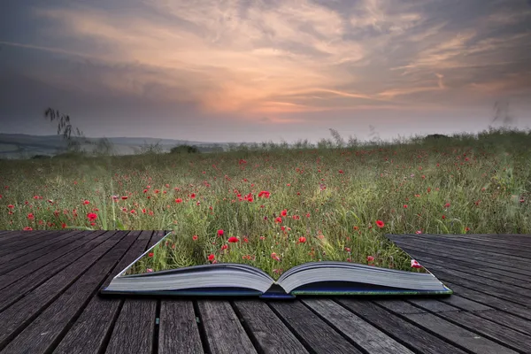 Creatief concept pagina's van boek poppy veld landschap in zomer c — Stockfoto