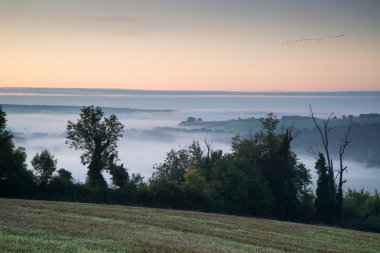 Layers of fog over Autumn agricultural landscape clipart