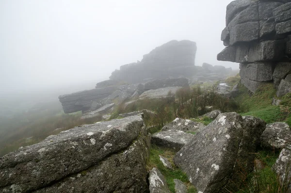 Peisaj peste Parcul Național Dartmoor toamna cu pietre și f — Fotografie, imagine de stoc