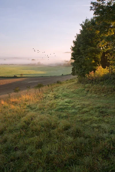 在秋季农业景观雾的图层 — 图库照片