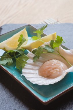 içinde limon ve maydanoz garnitür taze tarak Shell