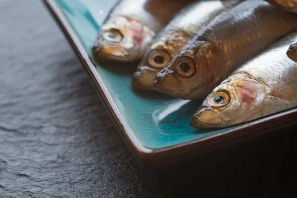 Fresh tasty raw sprats on serving dish — Stock Photo, Image