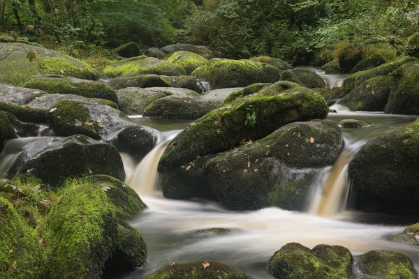 Landscape of Becky Falls waterfall in Dartmoor National Park Eng — Stock Photo, Image