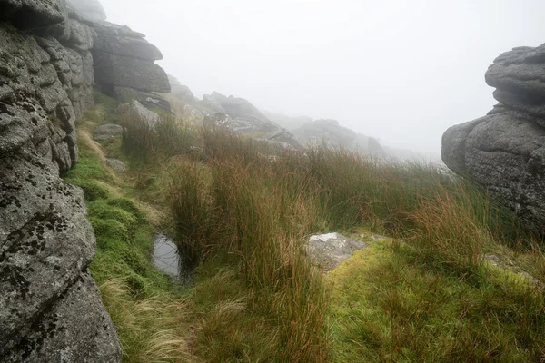 Landskap över dartmoor national park i höst med stenar och f — Stockfoto