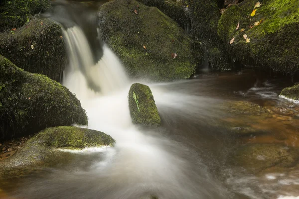 Landscape of Becky Falls waterfall in Dartmoor National Park Eng — Stock Photo, Image