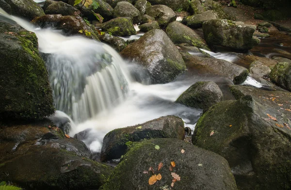 Paisaje de la cascada Becky Falls en el Parque Nacional Dartmoor Ing. —  Fotos de Stock