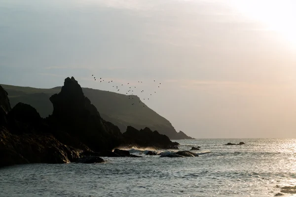 岩の多い海岸線と経度とコーブ日没の風景海の風景を望む — ストック写真