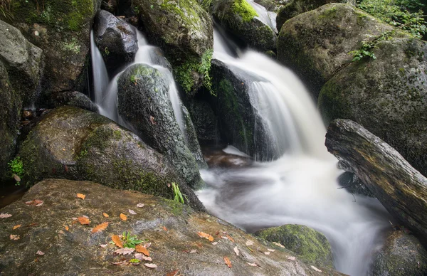 Пейзаж водопада Бекки Фоллс в Дартмуре Национальный парк Энг — стоковое фото