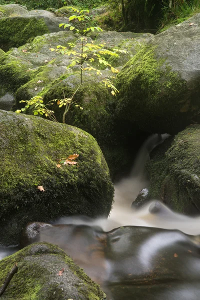 Landskap av becky faller vattenfall i dartmoor national park eng — Stockfoto