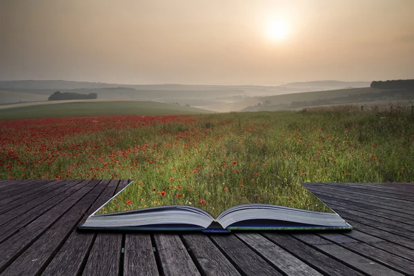 Creative concept pages of book Poppy field landscape in Summer c — Stock Photo, Image