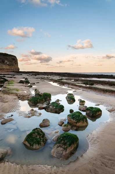 Summer landscape with rocks on beach during late evening and low — Stock Photo, Image