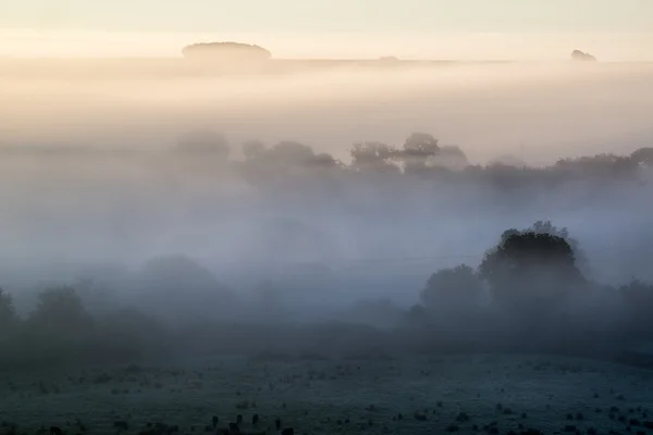 Nebelschichten über der herbstlichen Agrarlandschaft — Stockfoto