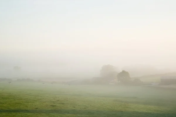 Capas de niebla sobre el paisaje agrícola de otoño — Foto de Stock