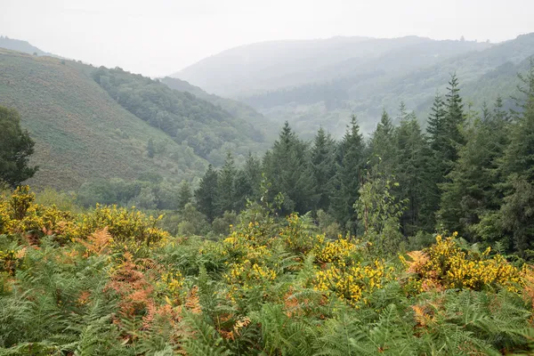 Autumn landscape over foggy Dartmoor National Park in England — Stock Photo, Image