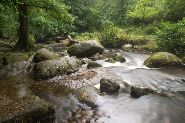 Краєвид Беккі Falls водоспаду в національному парку Дартмур Eng — стокове фото