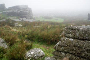 sonbaharın kayalar ve f Dartmoor üzerinde ulusal park peyzaj