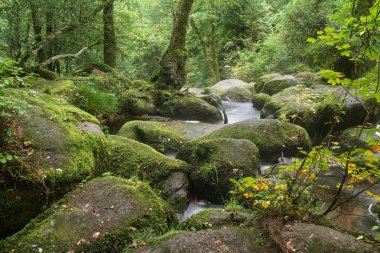 dartmoor Milli Parkı eng şelale peyzaj becky düşüyor