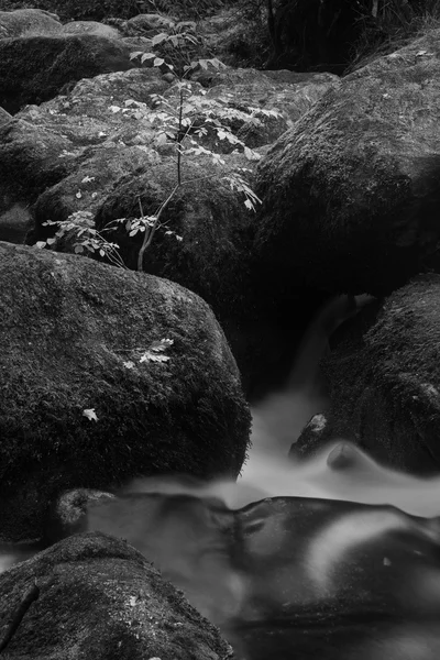 Paisagem da cachoeira Becky Falls no Parque Nacional Dartmoor Eng — Fotografia de Stock