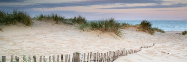 ภูมิทัศน์พาโนรามาของระบบเนินทรายบนชายหาดตอนพระอาทิตย์ขึ้น — ภาพถ่ายสต็อก