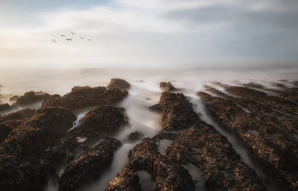 Туманний берег в морі з проривом сонця — стокове фото