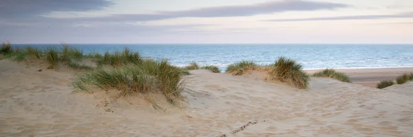 Panorama landscape of sand dunes system on beach at sunrise
