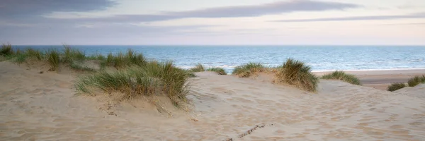Panorama krajina systému písečnými dunami na pláži v sunrise — Stock fotografie