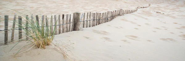 Panorama paisaje de sistema de dunas de arena en la playa al amanecer —  Fotos de Stock