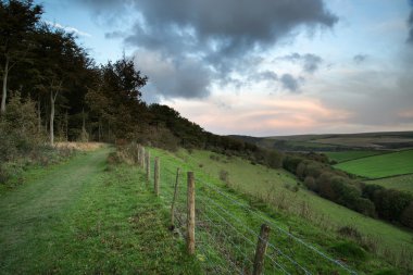 güzel sonbahar orman ve sırasında gündoğumu peyzaj alanları