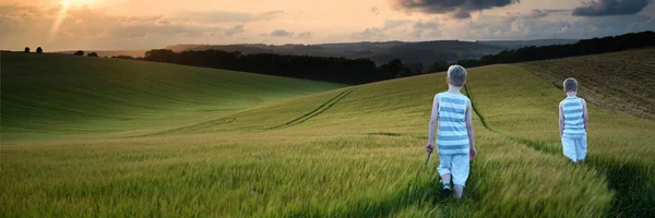 Concept panorama landscape young boys walking through field at s — Stock Photo, Image