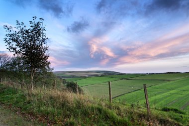 güzel sonbahar orman ve sırasında gündoğumu peyzaj alanları
