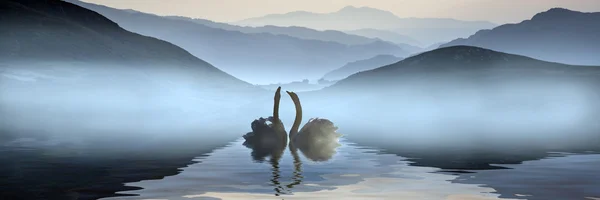 Όμορφη ρομαντική εικόνα των Κύκνων για θολό τοπίο λίμνη με βουνά μου — Φωτογραφία Αρχείου