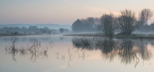 日の出の太陽の輝きと霧の湖の風景 — ストック写真