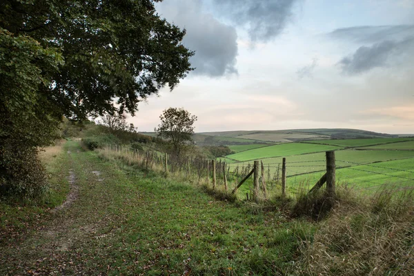 Hermoso bosque de otoño y campos durante el amanecer paisaje — Foto de Stock