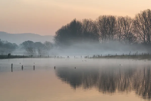 Paisaje de lago en niebla con sol resplandor al amanecer — Foto de Stock