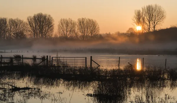 Paisaje de lago en niebla con sol resplandor al amanecer —  Fotos de Stock