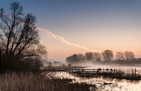 Paesaggio del lago nella nebbia con bagliore di sole all'alba — Foto Stock