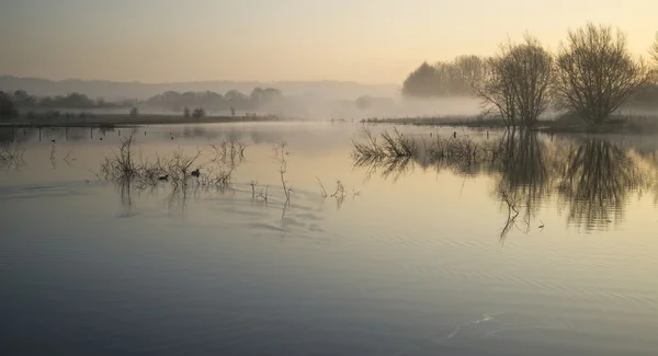 Paesaggio del lago nella nebbia con bagliore di sole all'alba — Foto Stock