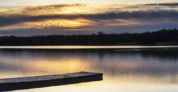 Çarpıcı bahar gündoğumu peyzaj yansımaları ile göl üzerinde ve — Stok fotoğraf