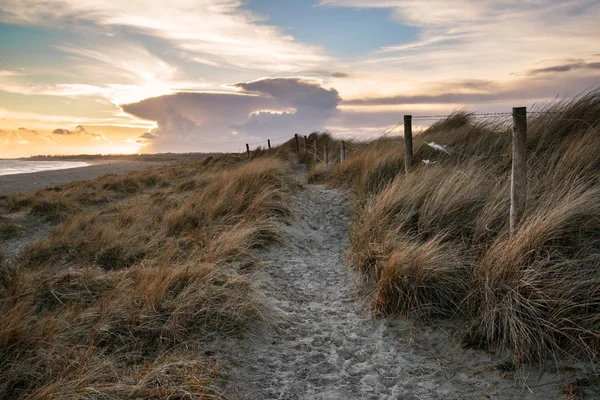 Blue sky late Summer beach sunset landscape