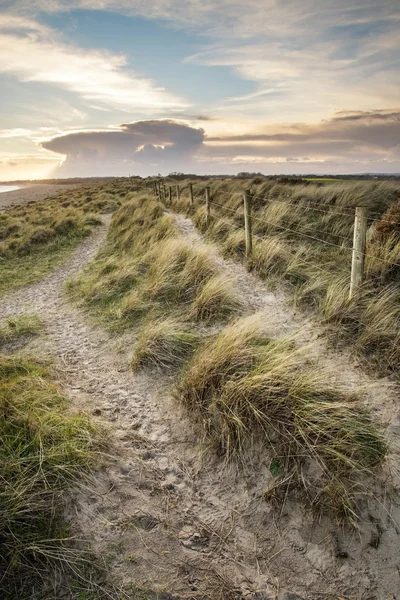 Blauwe hemel zomer strand zonsondergang landschap — Stockfoto