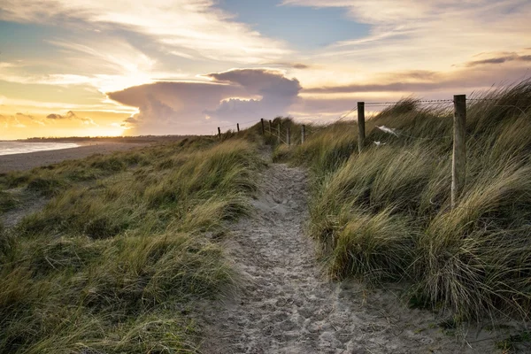 Blå himmel sommaren stranden sunset landskap — Stockfoto