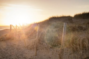 Güzel güneş ışığı manzara eklenen lens flare efekti filtre ile