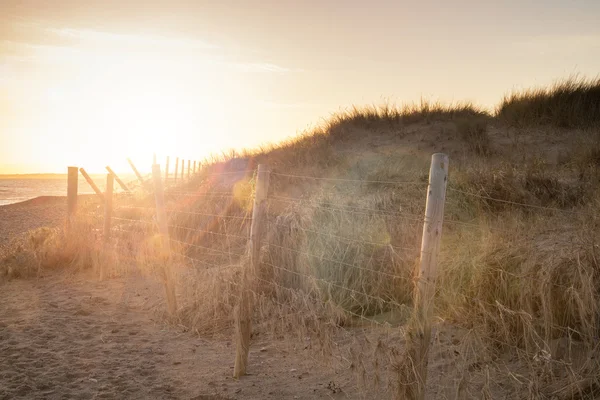 Vackra solljus landskap med extra lins utflytning effekt filter — Stockfoto