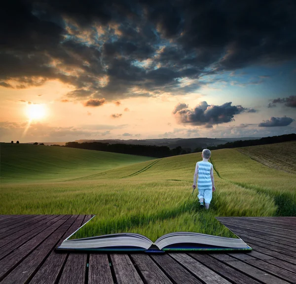 Concetto di libro Concetto paesaggio giovane ragazzo a piedi attraverso il campo a — Foto Stock