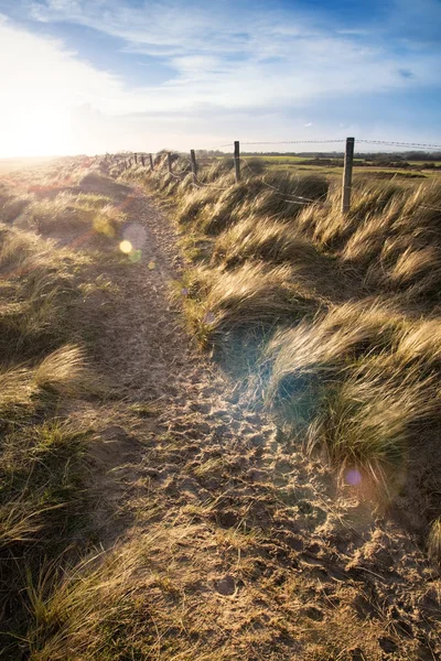 Blue sky Summer beach landscape with lens flare filter effect — Stock Photo, Image