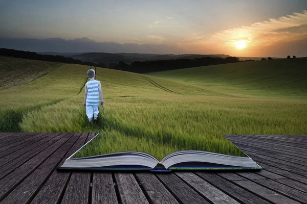 Book concept Concept landscape young boy walking through field a — Stock Photo, Image