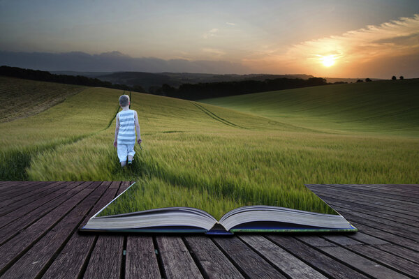 Book concept Landscape young boy walking through crop field at sunset