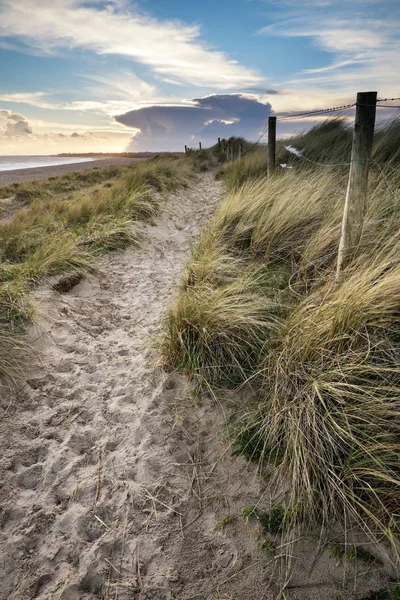 Blå himmel sommaren stranden sunset landskap — Stockfoto