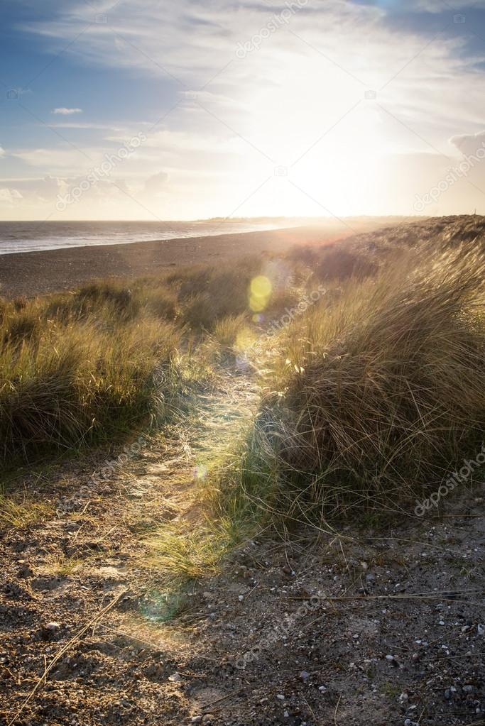 Blue sky Summer beach landscape with lens flare filter effect