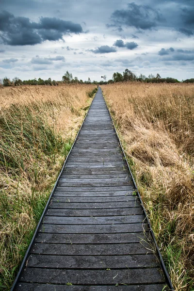 Stürmische Himmelslandschaft über Feuchtgebieten im Grünen mit Strandpromenade — Stockfoto